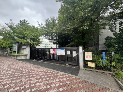 【小学校】渋谷区立加計塚小学校まで240ｍ