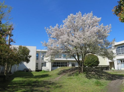【小学校】久喜市立青葉小学校まで877ｍ