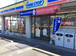 【コンビニエンスストア】ミニストップ　草加新里町店まで600ｍ