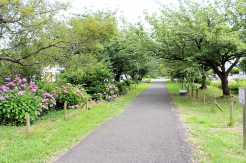 【公園】江北北部緑道公園まで344ｍ