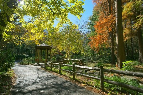 【公園】林試の森公園まで408ｍ