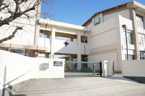【小学校】名古屋市立苗代小学校まで264ｍ