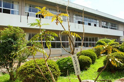 【小学校】益子町立　七井小学校まで2615ｍ
