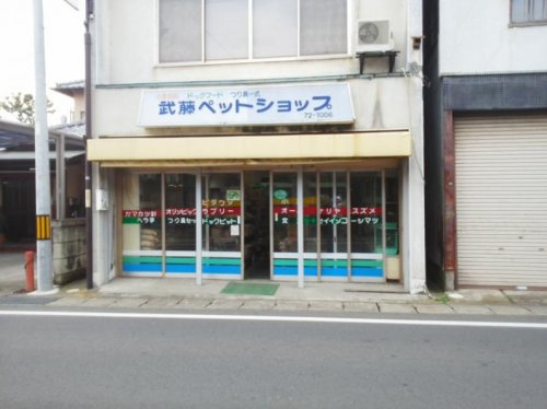 【ペットショップ】武藤ペットショップまで12191ｍ