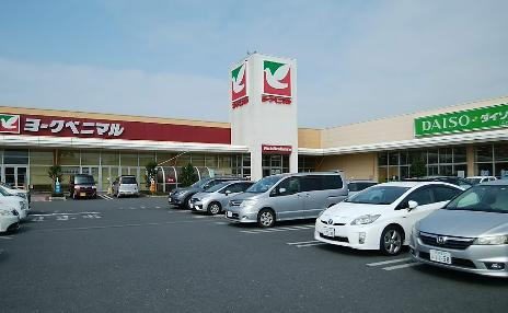 【スーパー】ヨークベニマル水戸笠原店まで667ｍ