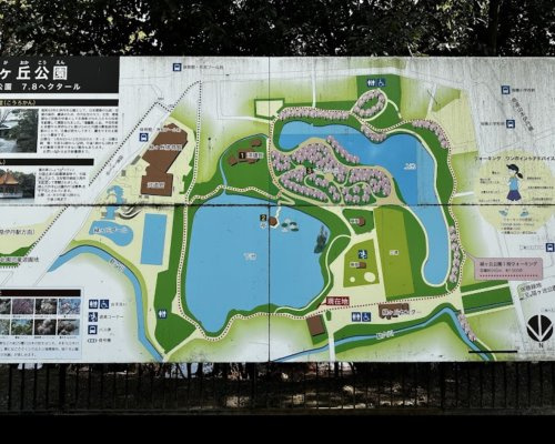 【公園】緑ケ丘公園まで559ｍ