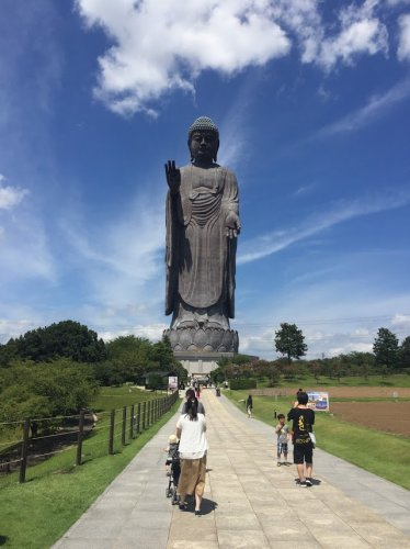 【その他】牛久大仏まで9683ｍ