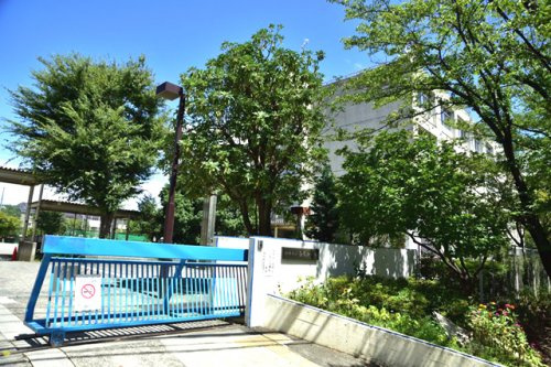 【中学校】川崎市立白鳥中学校まで1566ｍ
