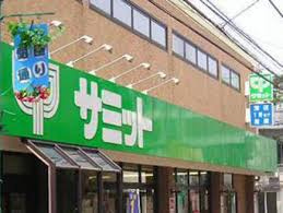 【スーパー】サミットストア　西小山店まで161ｍ