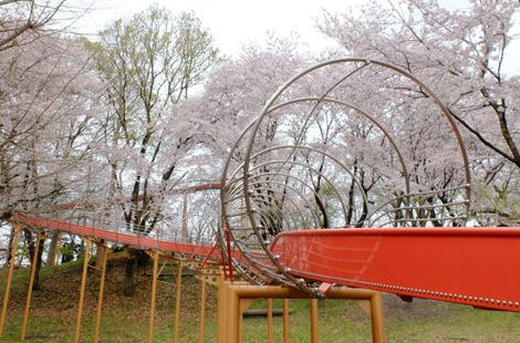 【公園】清水寺公園まで1316ｍ