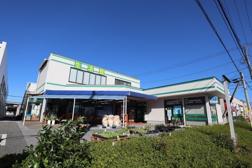 【スーパー】JA木更津市生活館まで1018ｍ