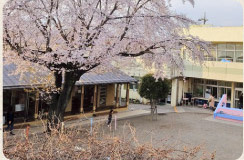 【保育園】中神保育園まで472ｍ