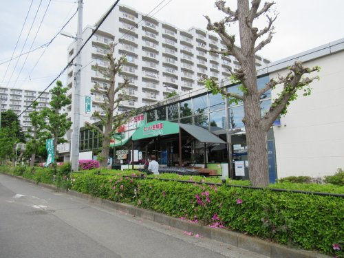 【スーパー】スーパー生鮮館TAIGA(タイガ)　座間店まで1897ｍ