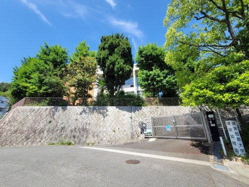 【幼稚園】頌栄幼稚園まで501ｍ