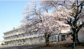 【小学校】古河市立八俣小学校まで1925ｍ