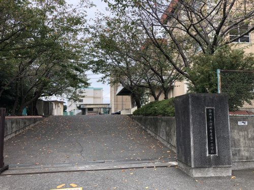 【小学校】静岡市立清水有度第一小学校まで1060ｍ