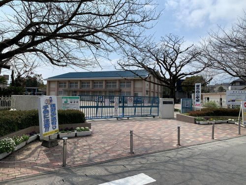 【小学校】鹿児島市立坂元台小学校まで701ｍ
