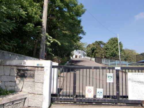 【小学校】横須賀市立根岸小学校まで570ｍ
