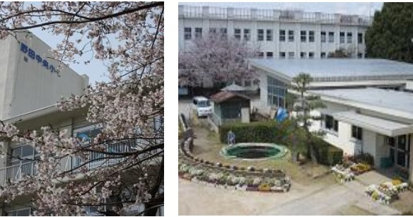 【小学校】野田市立中央小学校まで1319ｍ