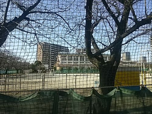 【小学校】さいたま市立与野八幡小学校まで426ｍ