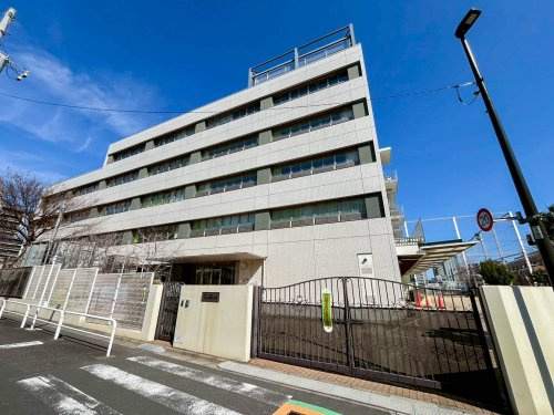 【幼稚園】牛込成城幼稚園まで241ｍ