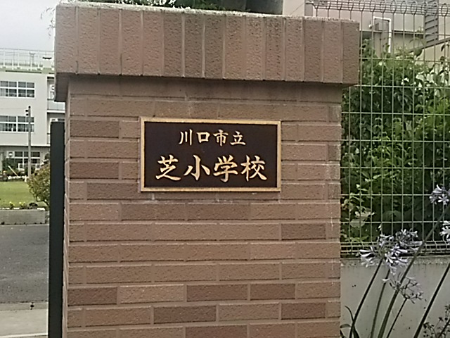 【小学校】川口市立芝小学校まで1282ｍ