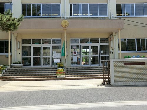 【小学校】区立金町小学校まで330ｍ