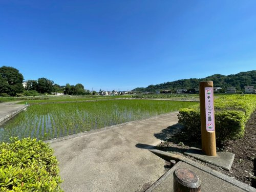 【公園】チューリップ公園まで519ｍ