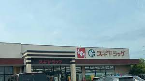 【ドラッグストア】スギドラックとりせん北本店まで1461ｍ