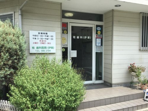 【歯科】桂歯科医院まで204ｍ