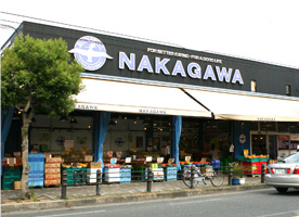 【スーパー】スーパーストアナカガワ　招提店まで806ｍ