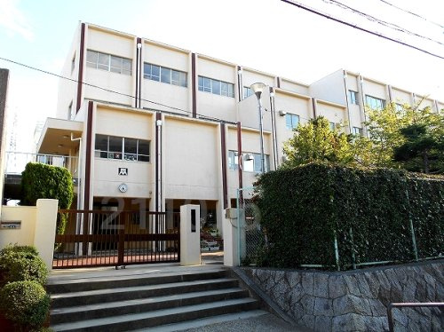 【中学校】神戸市立桜の宮中学校まで736ｍ