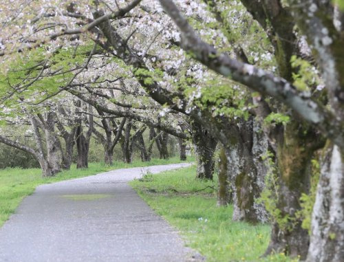 【公園】越生町運動公園まで336ｍ