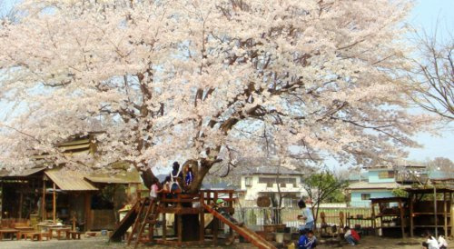 【幼稚園】ひかりの子認定こども園まで1264ｍ