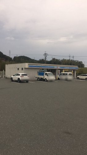 【コンビニエンスストア】ローソン　真野インター店まで1131ｍ