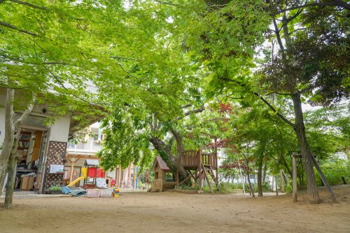 【幼稚園】江戸川双葉幼稚園まで228ｍ