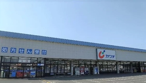 【ドラッグストア】カワチ薬品桐生西店まで250ｍ