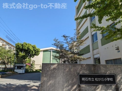 【小学校】明石市立松が丘小学校まで126ｍ