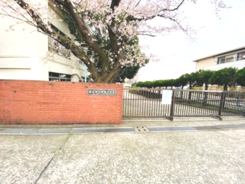 【小学校】藤沢市立中里小学校まで699ｍ