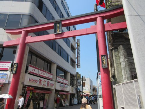 【その他】小町通りまで550ｍ