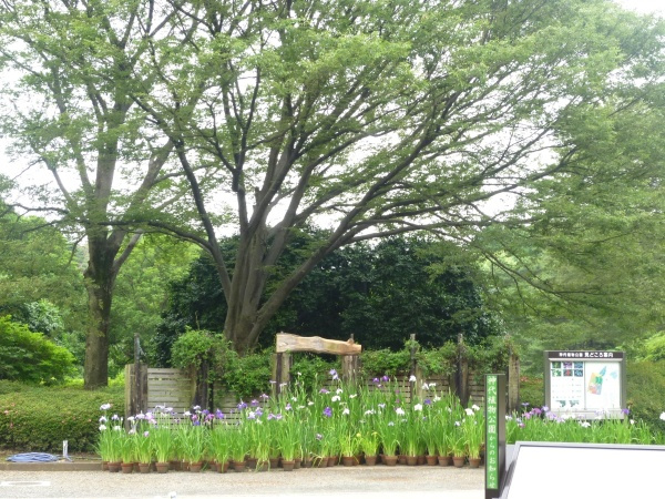 【公園】神代植物公園まで2101ｍ