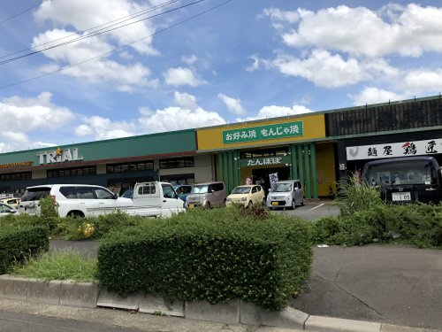 【ディスカウントショップ】ネバフッドマーケットトライアル牛久店まで1886ｍ