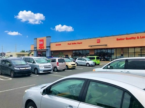 【スーパー】ベルク　古河駒羽根店まで1430ｍ