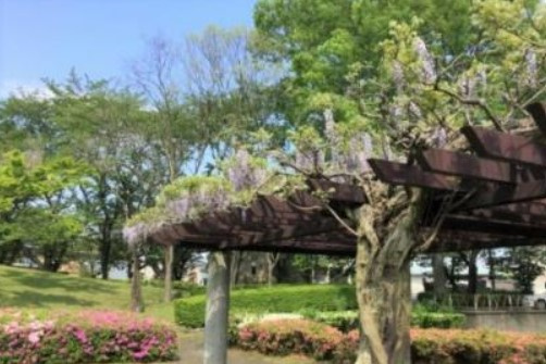 【公園】天久保公園まで11824ｍ