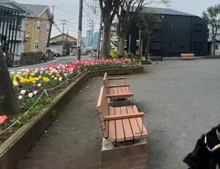 【公園】大郷山第二公園まで345ｍ