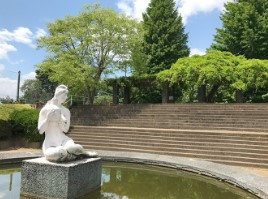 【公園】新狭山公園まで1337ｍ