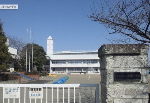 【小学校】深谷市立　川本北小学校まで520ｍ
