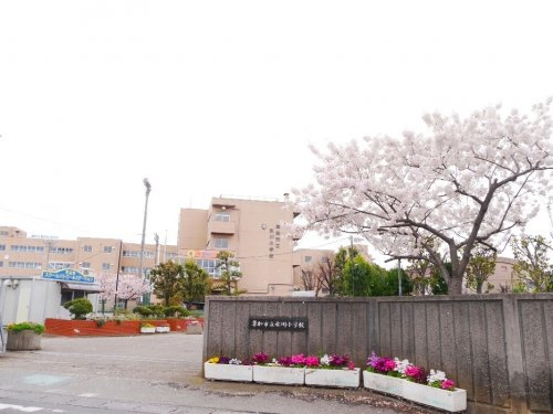 【小学校】草加市立氷川小学校まで450ｍ