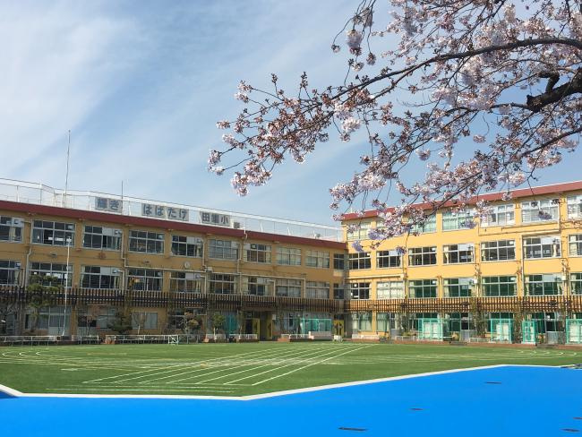 【小学校】北区立田端小学校まで541ｍ