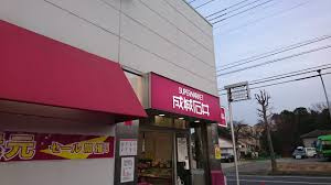 【スーパー】成城石井　美しが丘店まで500ｍ
